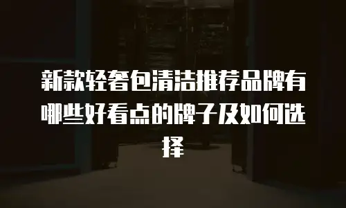 新款轻奢包清洁推荐品牌有哪些好看点的牌子及如何选择