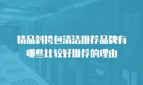 精品斜挎包清洁推荐品牌有哪些比较好推荐的理由