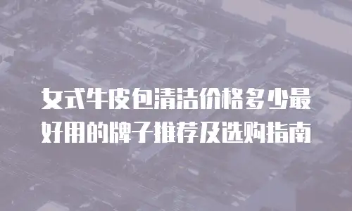 女式牛皮包清洁价格多少最好用的牌子推荐及选购指南
