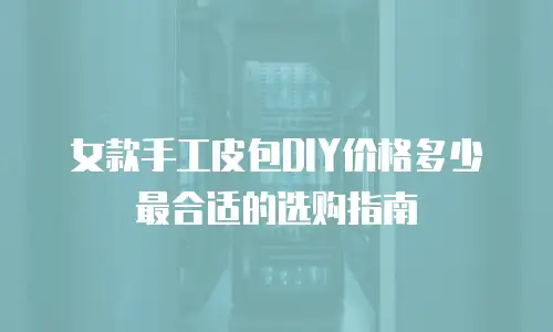 女款手工皮包DIY价格多少最合适的选购指南