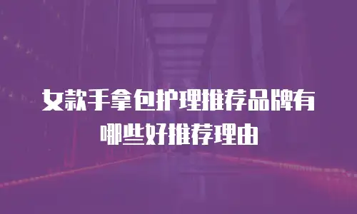 女款手拿包护理推荐品牌有哪些好推荐理由