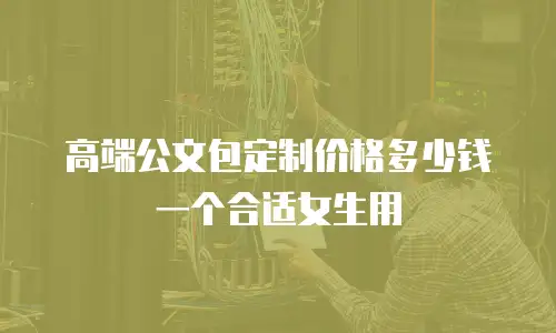 高端公文包定制价格多少钱一个合适女生用