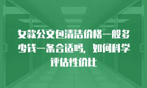 女款公文包清洁价格一般多少钱一条合适吗，如何科学评估性价比