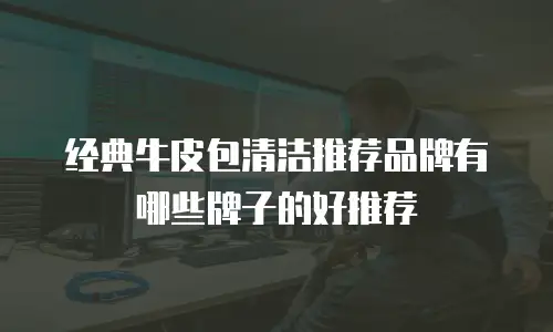 经典牛皮包清洁推荐品牌有哪些牌子的好推荐