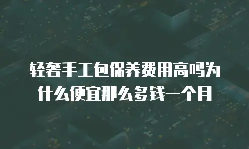 轻奢手工包保养费用高吗为什么便宜那么多钱一个月