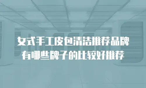 女式手工皮包清洁推荐品牌有哪些牌子的比较好推荐
