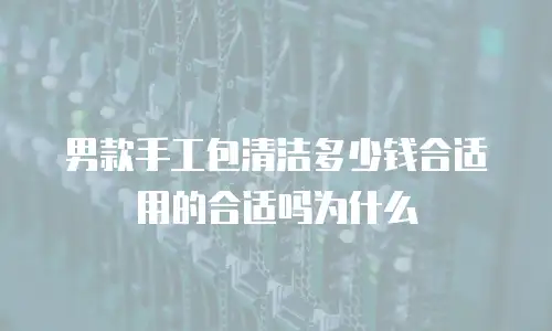 男款手工包清洁多少钱合适用的合适吗为什么