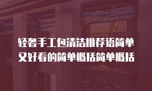 轻奢手工包清洁推荐语简单又好看的简单概括简单概括