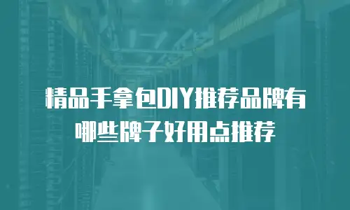 精品手拿包DIY推荐品牌有哪些牌子好用点推荐