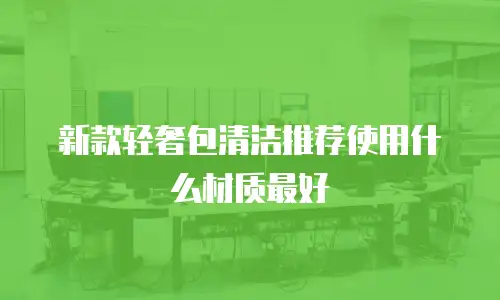 新款轻奢包清洁推荐使用什么材质最好