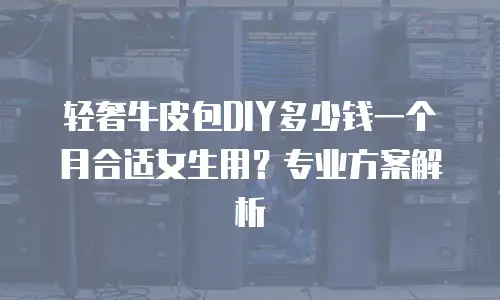 轻奢牛皮包DIY多少钱一个月合适女生用？专业方案解析