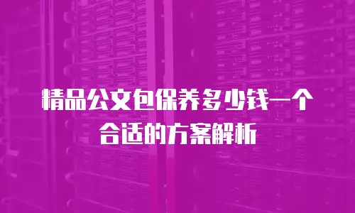 精品公文包保养多少钱一个合适的方案解析