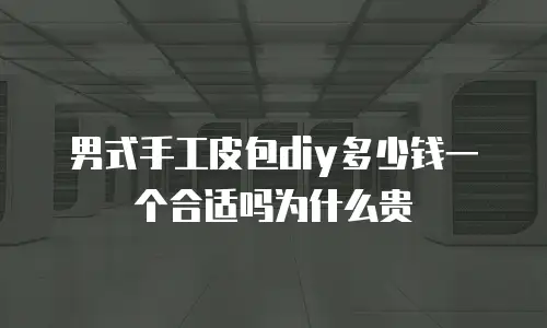 男式手工皮包diy多少钱一个合适吗为什么贵