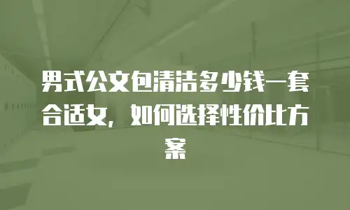男式公文包清洁多少钱一套合适女，如何选择性价比方案