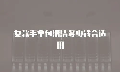 女款手拿包清洁多少钱合适用