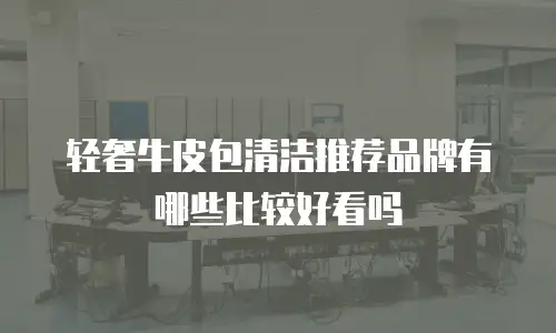 轻奢牛皮包清洁推荐品牌有哪些比较好看吗