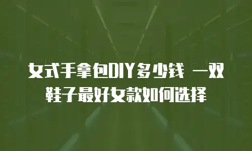 女式手拿包DIY多少钱 一双鞋子最好女款如何选择