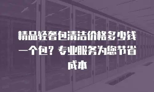 精品轻奢包清洁价格多少钱一个包？专业服务为您节省成本