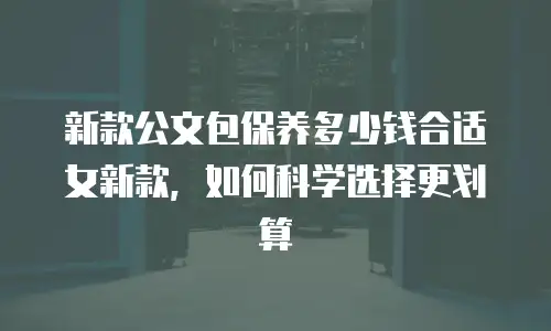 新款公文包保养多少钱合适女新款，如何科学选择更划算