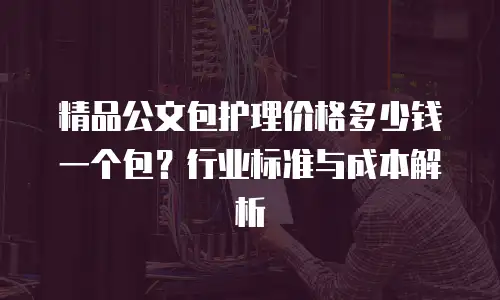 精品公文包护理价格多少钱一个包？行业标准与成本解析