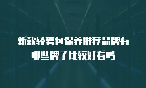新款轻奢包保养推荐品牌有哪些牌子比较好看吗