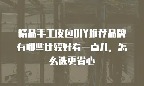 精品手工皮包DIY推荐品牌有哪些比较好看一点儿，怎么选更省心