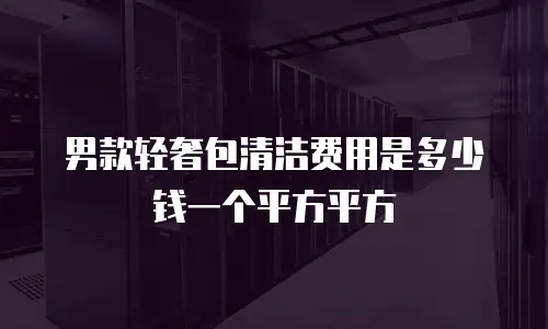 男款轻奢包清洁费用是多少钱一个平方平方