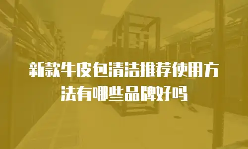 新款牛皮包清洁推荐使用方法有哪些品牌好吗