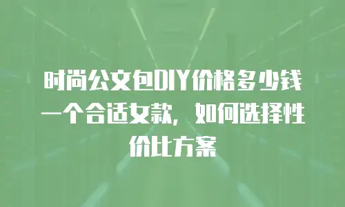 时尚公文包DIY价格多少钱一个合适女款，如何选择性价比方案