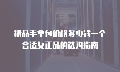 精品手拿包价格多少钱一个合适女正品的选购指南