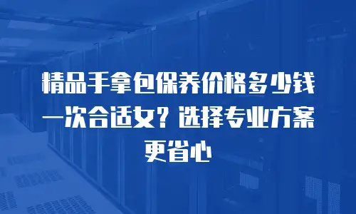 精品手拿包保养价格多少钱一次合适女？选择专业方案更省心
