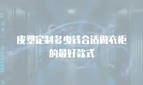 皮塑定制多少钱合适做衣柜的最好款式