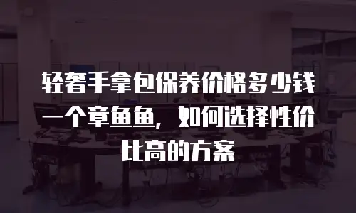轻奢手拿包保养价格多少钱一个章鱼鱼，如何选择性价比高的方案
