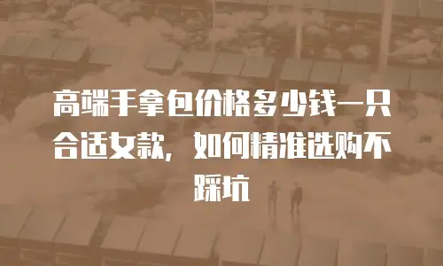 高端手拿包价格多少钱一只合适女款，如何精准选购不踩坑
