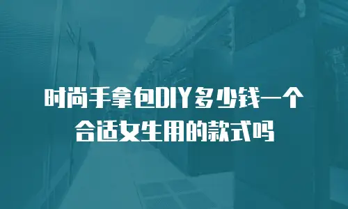 时尚手拿包DIY多少钱一个合适女生用的款式吗