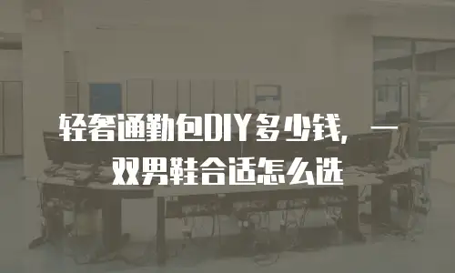 轻奢通勤包DIY多少钱，一双男鞋合适怎么选