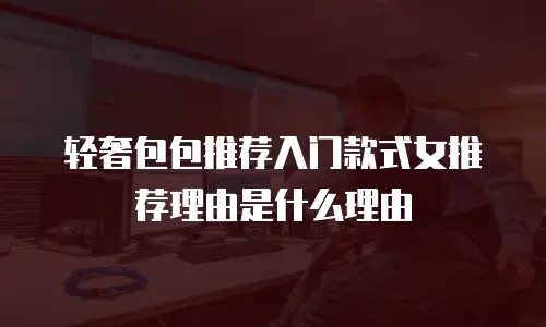 轻奢包包推荐入门款式女推荐理由是什么理由