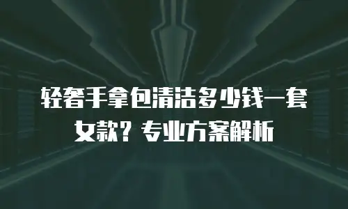 轻奢手拿包清洁多少钱一套女款？专业方案解析