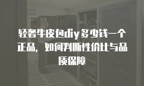轻奢牛皮包diy多少钱一个正品，如何判断性价比与品质保障