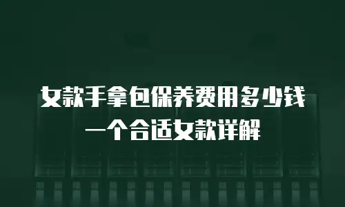 女款手拿包保养费用多少钱一个合适女款详解