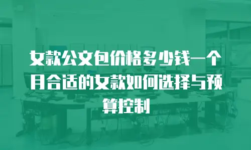 女款公文包价格多少钱一个月合适的女款如何选择与预算控制
