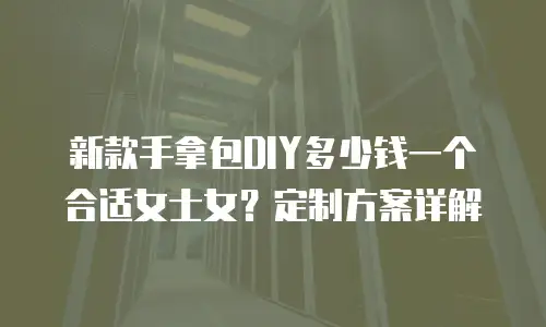 新款手拿包DIY多少钱一个合适女士女？定制方案详解