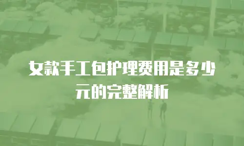 女款手工包护理费用是多少元的完整解析