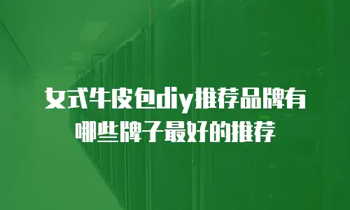 女式牛皮包diy推荐品牌有哪些牌子最好的推荐