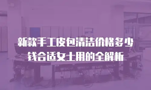 新款手工皮包清洁价格多少钱合适女士用的全解析