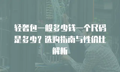轻奢包一般多少钱一个尺码是多少？选购指南与性价比解析