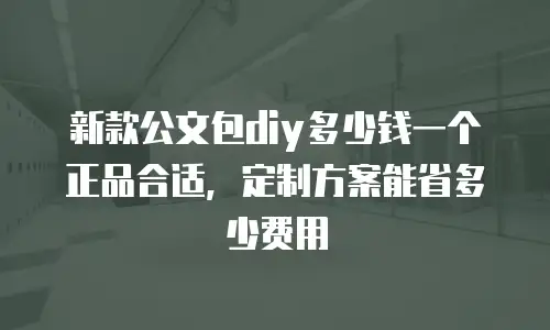 新款公文包diy多少钱一个正品合适，定制方案能省多少费用
