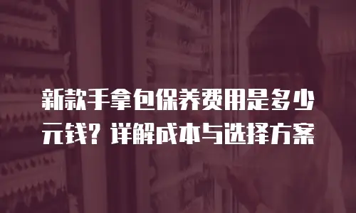 新款手拿包保养费用是多少元钱？详解成本与选择方案