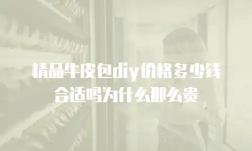 精品牛皮包diy价格多少钱合适吗为什么那么贵