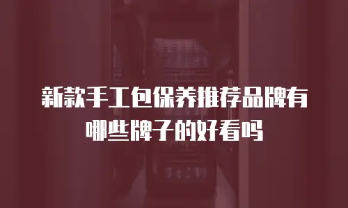 新款手工包保养推荐品牌有哪些牌子的好看吗